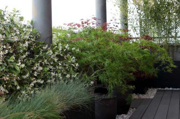 Platelage extérieur synthétique pour jardins Guadalajara